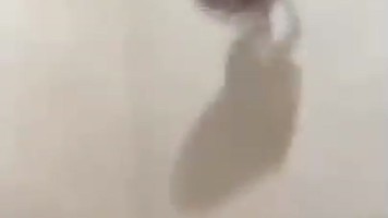 Virly Virginia Toge Montok Desah Colmek